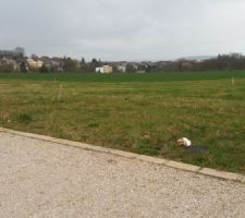 Terrain compteur d'eau