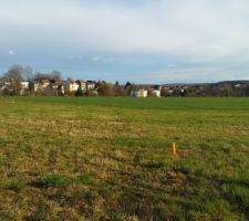 Implantation maison sur terrain