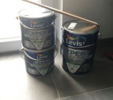 Peintures du salon achetées