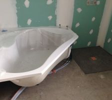 Baignoire et douche salle de bains