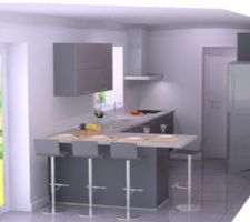 Vu de la future cuisine 2