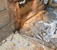 Lisse basse de la douche complètement détruite par la petite vrillette