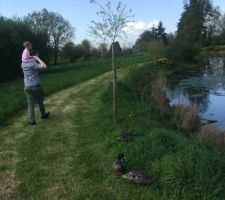 Petite partie du parc derrière le lotissement avec un accès direct piéton depuis notre rue .
