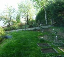 Potager, arbres fruitiers