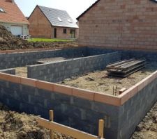 Vide sanitaire en cours.