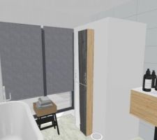 Vue 3d salle de bain