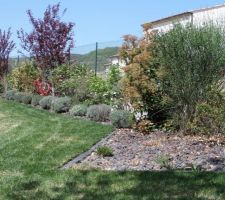 Après la tonte, un petit aperçu du jardin