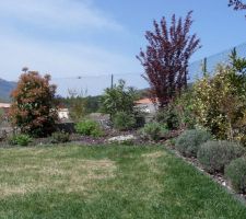 Après la tonte, un petit aperçu du jardin