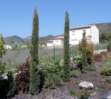 Après la tonte, un petit aperçu du jardin