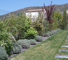 Après la tonte, un petit aperçu du jardin