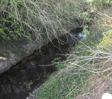Cours d'eau qui fait office de limite de propriété