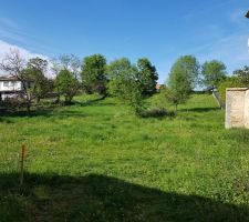 Terrain vu de la partie commune. Chemin d accès sur la droite