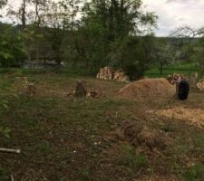 Souches des arbres &agrave; arracher sur larri&egrave;re du terrain. 
Les tas de copeaux seraient &agrave; garder.