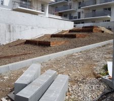 Le jardin prend ses marques