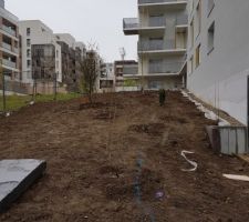 Les plantations