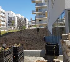 Petites plantes pour nos plantations