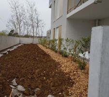 Les plantations