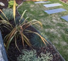 Paillage concassé beige avec graminées et Ligustrum