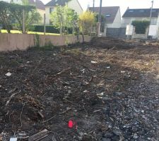 Vue du terrain apr&egrave;s d&eacute;broussaillage et passage du g&eacute;om&egrave;tre