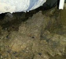 Coulée de boue dans vide sanitaire