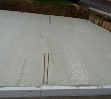 Béton craquelé...