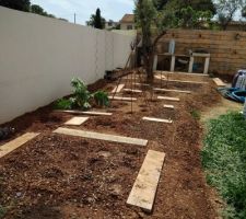 Potager en place, semis effectués