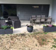 Aménagement de la terrasse avec quelques fleurs