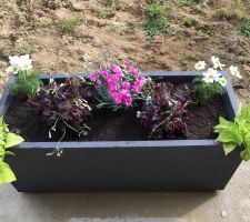 Aménagement de la terrasse avec quelques fleurs