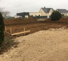 Enlevement des arbres et implantation de la maison