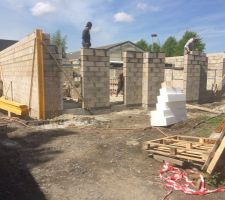 Ils sont super rapides