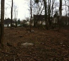 TERRAIN AU MOIS DE MARS AVEC PLEINS D ARBRES A ABBATTRE