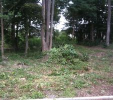 Nettoyage de la v&eacute;g&eacute;tation