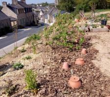 En attendant la suite on jardine ,à cette allure  le jardin sera fini avant la maison