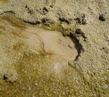 Trou d'eau venant du sol... qui ne cesse de s'écouler