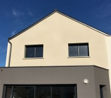 Reprise ravalement façade