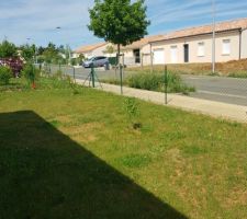 Terrain avant