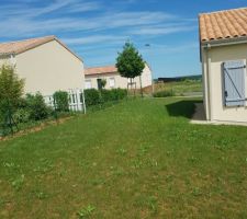 Terrain 2