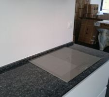 Plaque cuisson sur plan travail granit