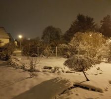 Jardin  soirée d'hiver