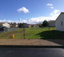 Tonte de la mauvaise herbe avant passage du rotovator.