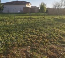 Tonte de la mauvaise herbe avant passage du rotovator.
C&ocirc;t&eacute; terrasse