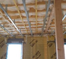 Pose des suspentes et fourrures du plafond
