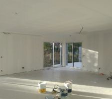 Préparation murs et plafonds avant peinture