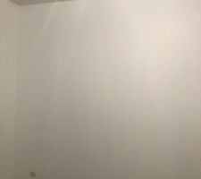 Peinture murs des chambres presque fini manque juste le mur couleur