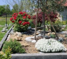 Jardin Sec au paillage minéral