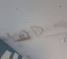 Intempéries pourries infiltrations plafond phase 1