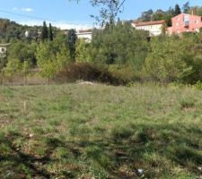 Une photo du 16/09/2005 Montre le piquetage r&eacute;alis&eacute; par la commune avant la vente effective.