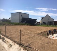 En attendant que &ccedil;a pousse !