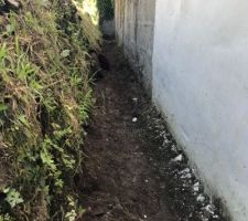 Photo du talus, du caniveau et le mur de la maison