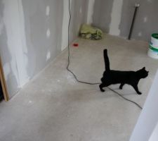 Notre petite chatoune